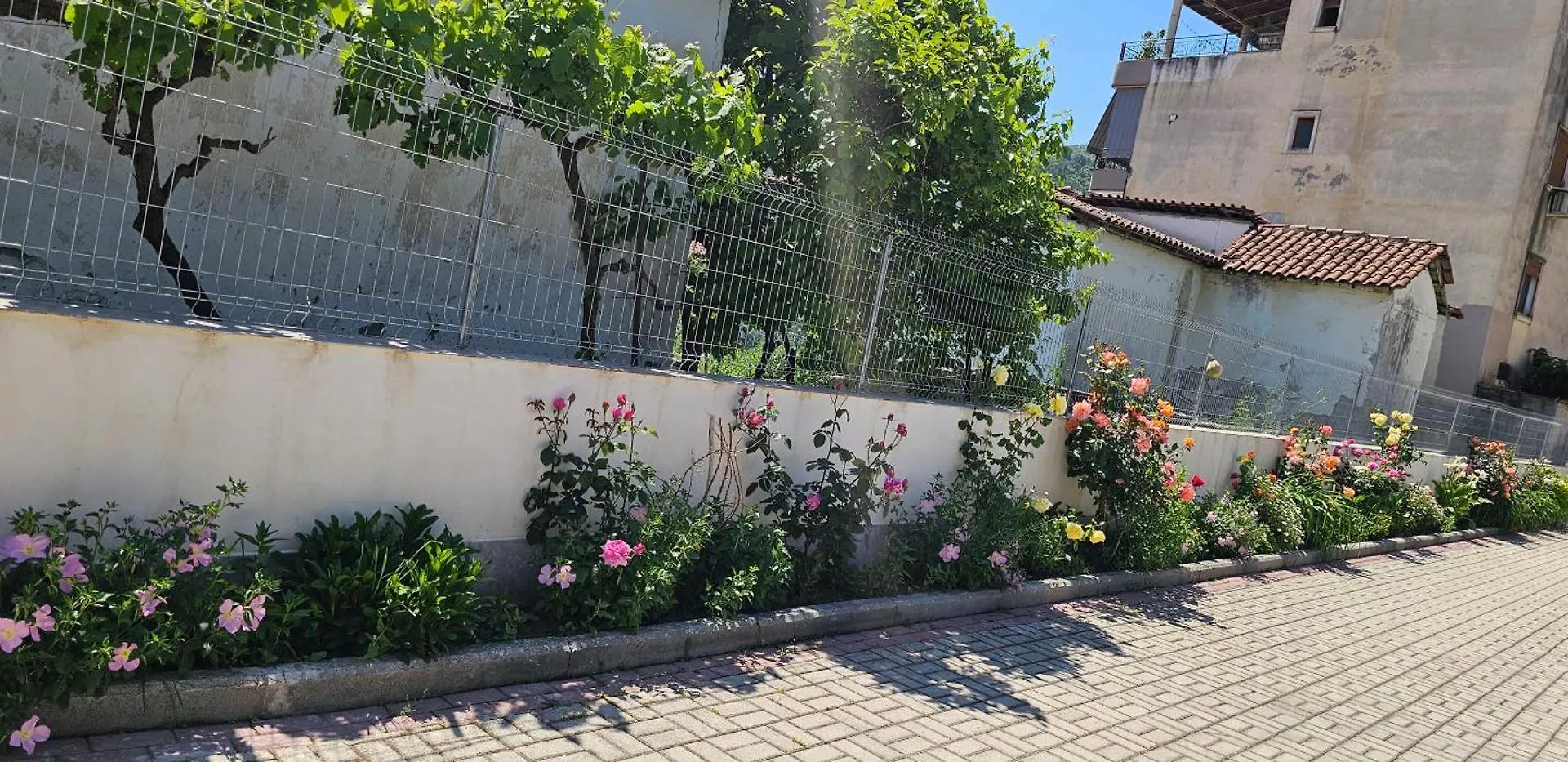 Aliaj'S Guest House Berat